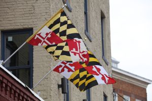 Photo of two Maryland State Flags.